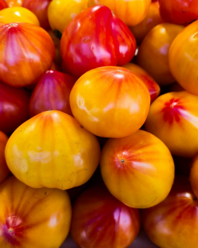 Een berg gele en rode tomaten